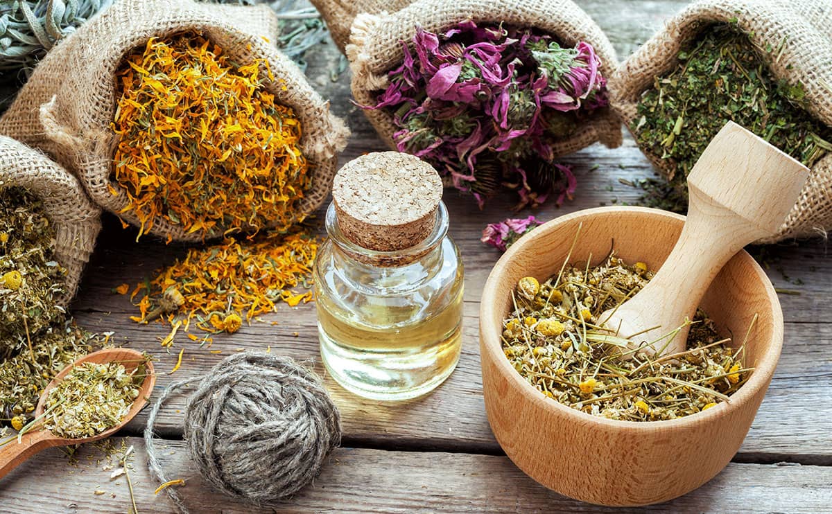 صادرات گیاهان دارویی